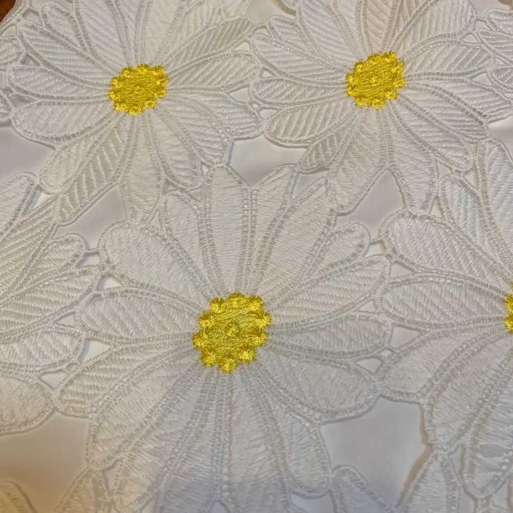 Anthropologie Hutch Daisy Skirt - Picture 5 of 5